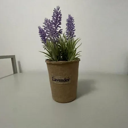 Conta Apartment *